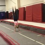 ella whaley - @ella.whaley.gymnastics - Instagram