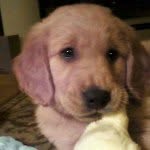 Ella Wheatbrook - @ellawheatbrook - Instagram