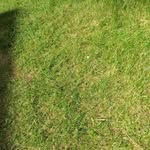 Ella Wheatcroft - @ellawheatcroft - Instagram