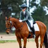 Ella - @ellawhitaker.equestrian - TikTok