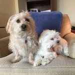 ella - @ella.whitlock06 - Instagram