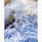 Nu Kowalewski - @ellawickert - Instagram