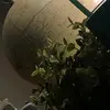Ella - @ellawinn23 - TikTok