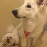 Ella&Winnie - @ella_winnie - Instagram
