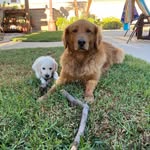Ella&Winnie - @bsteiner3757 - Instagram