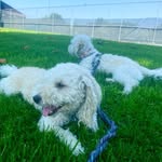 Ella and Winston - @ella.and.winston - Instagram