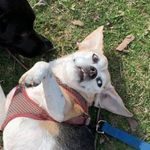 Ella Winters - @ellawintersphotography - Instagram