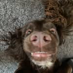 Ella Wiseman - @xella_wisemanx - Instagram