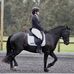 Ella Wiseman Eq - Facebook