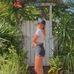 Ella Witt - Facebook