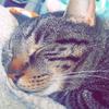 Ella Wren - @_hey_its_ella - TikTok