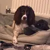 ella__wyatt - @ella__wyatt - TikTok