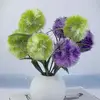 Wyatt Ella - @wyatt.ella34 - TikTok