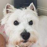 Ella Wyman - @princess_wyman - Instagram
