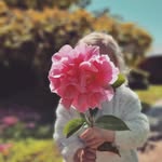 Elle Cameron - @cameronhomestead - Instagram
