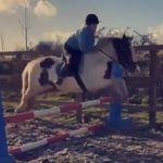 Elle - @ellecarroll_ - Instagram