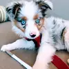 Elle - @elle.jherr - TikTok