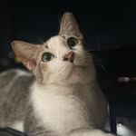 @elle_herre - Instagram