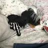 Ellie Hull - @elliehull5 - TikTok