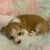 Hi - @elle.jacksonnn - TikTok