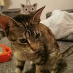 Ellie & Jerry - @ellie_and_jerry - Instagram