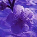 Elle Jimenez - Facebook