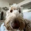 elle - @ellejohnsn - TikTok
