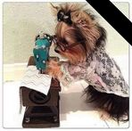 Elle G. Johns - Facebook