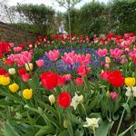 Elle Johns - @ellej_floweringgarden - Instagram
