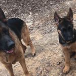Kaizer&ella - @kaiser_elle - Instagram