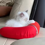 엘리 Ellie Kang - @ellie_at_sweet_home - Instagram