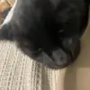 ellen - @ellen.kemp - TikTok