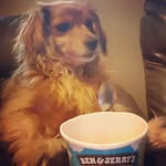 Elle Kent - @stanly.spicy.weiner - Instagram