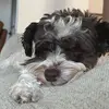 Ella Knapp - @ella.knapp7 - TikTok