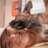 Ellee knowles - @elleeknowles - TikTok