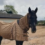 Elle Leonard - @elleleonardequestrian - Instagram