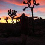 Elle Spencer Lewis - @ellelewismusic - Instagram