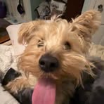Elle Long - Facebook