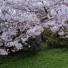 ellelongaway - @ellelongaway - TikTok