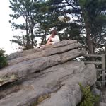 Ellie Long - @mango_ell5 - Instagram