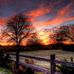 Ellen MacDonald - Facebook
