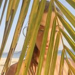 ellie macdonald - @ellie_macdonald - Instagram