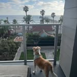 Elle Mack - @mr_riley_bear - Instagram