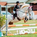 Elle McCarthy - @elleponytales - Instagram