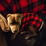 Ellen McDaniel - Facebook