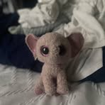 Elle McLaughlin - Facebook