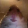 Elly Morse - @ellymorse - TikTok