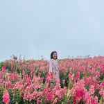 Elle Muñoz - @rlmvirtualprofessionals - Instagram
