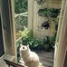 Elle Ng - Facebook
