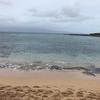elle4ocean - @elle4ocean - TikTok